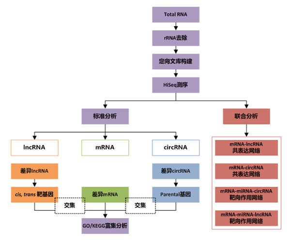 全轉(zhuǎn)錄組測(cè)序數(shù)據(jù)分析