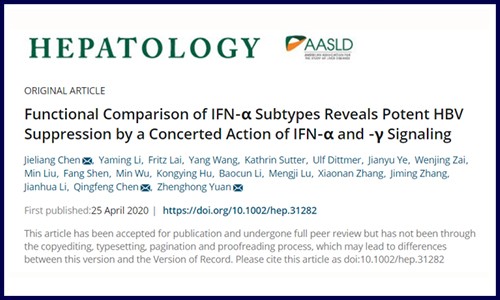 干貨！伯豪客戶高分文章詳解