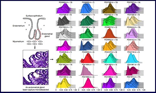 Nature 文獻集錦 | 常見腫瘤研究系列——婦科腫瘤