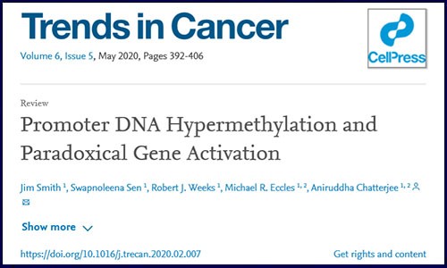 Trends in Cancer 綜述 | 啟動子 DNA 高甲基化激活基因高表達