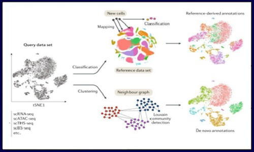 單細(xì)胞多組學(xué)技術(shù)