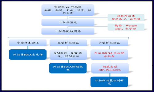 漲姿勢啦！解鎖外泌體研究策略！