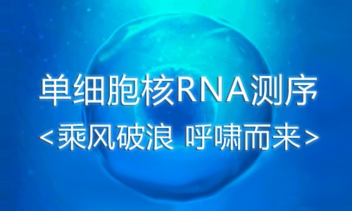 Show Time| 單細(xì)胞核轉(zhuǎn)錄組測序-—乘風(fēng)破浪呼嘯而來