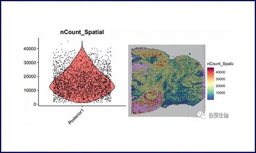空間轉(zhuǎn)錄組 | 數(shù)據(jù)預(yù)處理、降維、聚類（seurat）