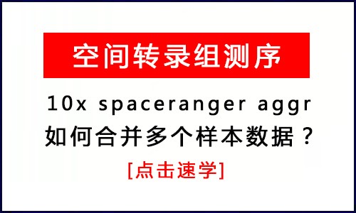 空間轉(zhuǎn)錄組 |10x spaceranger aggr 合并多個樣本