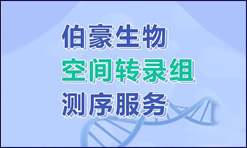探索基因表達(dá)的空間信息 | 空間轉(zhuǎn)錄組測(cè)序服務(wù)你 Pick 了嗎？