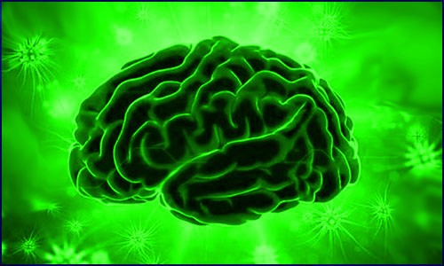 單細(xì)胞 RNA 測序?yàn)閷ふ倚碌陌柎暮Ｄ∷幬锇悬c(diǎn)鋪新路