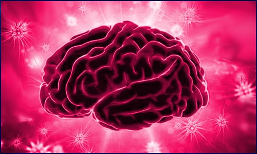 Nat. Genet. | 基于 ATAC-Seq、HiCHIP 數(shù)據(jù)構(gòu)建人類大腦表觀遺傳圖譜，揭示 AD/PD 遺傳風(fēng)險(xiǎn)位點(diǎn)