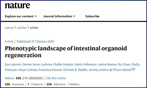 文獻(xiàn)錦集 | 10 月單細(xì)胞測序高分文獻(xiàn)匯總