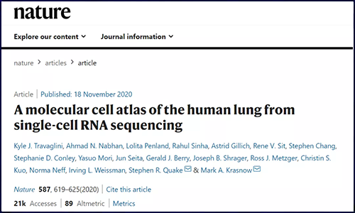 Nature | 基于單細(xì)胞 RNA 測(cè)序繪制人類肺組織分子細(xì)胞圖譜，成功鑒定多種未知細(xì)胞類型
