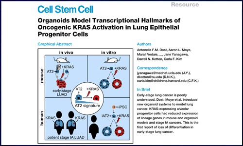 文獻(xiàn)解讀 | 單細(xì)胞測(cè)序揭示肺上皮祖細(xì)胞中致癌性 KRAS 活化的轉(zhuǎn)錄特征