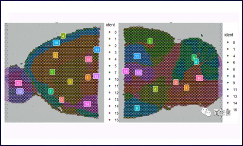 空間轉錄組測序 | 細胞分化（擬時序 分析）該怎么玩