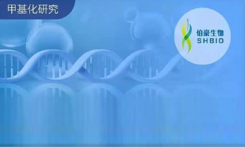 2020 年 DNA 甲基化高分文獻盤點