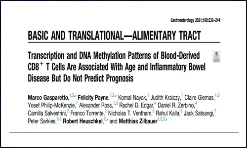 文獻(xiàn)集錦│2021 年 1 月 DNA 甲基化研究成果回顧