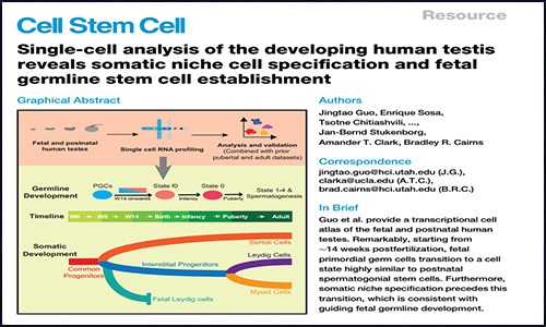 文獻(xiàn)錦集 | 1 月份單細(xì)胞測(cè)序高分文獻(xiàn)匯總