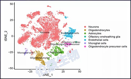 單細胞核測序 | 干貨測數(shù)據(jù)大放送！