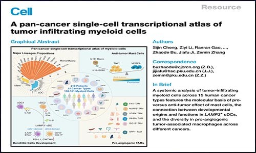 文獻(xiàn)錦集 | 2021 年 2 月單細(xì)胞測(cè)序高分文獻(xiàn)匯總