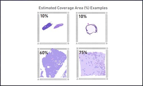 空間轉(zhuǎn)錄組測(cè)序 | 實(shí)驗(yàn)踩坑心得