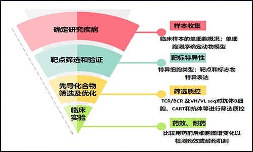 藥物研發(fā) | 單細胞測序在藥物研發(fā)中的應(yīng)用