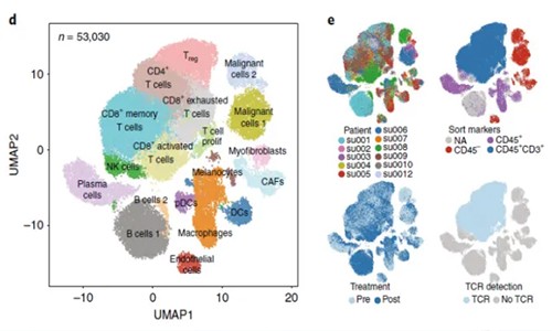 免疫治療 | 單細胞測序技術(shù)加速藥物研發(fā)！