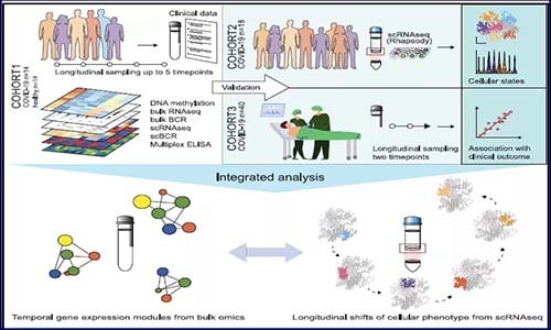 多組學(xué)分析 |COVID-19 患者巨核細胞、紅細胞以及漿母細胞特征！