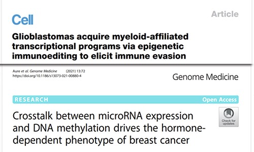 文獻(xiàn)集錦│2021 年 04 月 DNA 甲基化新鮮速遞