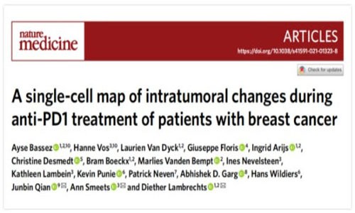 Nature | 乳腺癌免疫治療反應(yīng)機制及預測治療新方法