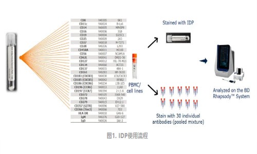 伯豪生物 | AbSeq Panel 助力單細胞多組學研究