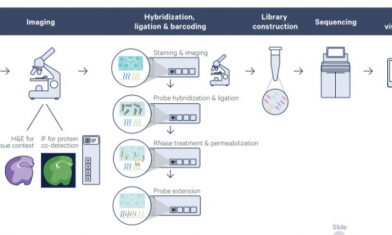 活動即將滿額 |FFPE 空間轉(zhuǎn)錄組內(nèi)測福利再不約就晚了！