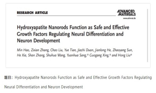項目文章 IF=30.849| 常規(guī)轉(zhuǎn)錄組技術(shù)揭示羥基磷灰石納米材料可加快神經(jīng)分化和神經(jīng)元發(fā)育
