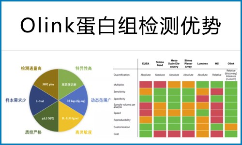 Olink 蛋白組在藥物靶點(diǎn)篩選中的研究方案