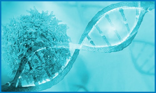 Nature Genetics | 發(fā)表乳腺癌單細(xì)胞空間分辨圖譜，鑒定與細(xì)胞異質(zhì)性和預(yù)后相關(guān)的九種亞型