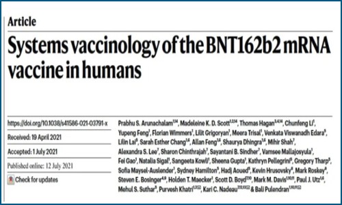Nature 文章解析 | 多組學(xué)研究 mRNA 疫苗 BNT162B2 人體免疫應(yīng)答
