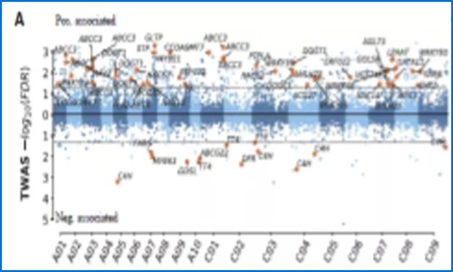 多組學(xué)聯(lián)合分析 | 萬金油 RNA-seq —— 聯(lián)合基因組學(xué)