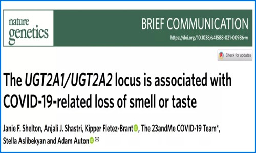 Nature genetics 高分文章解讀丨經(jīng)典思路與新冠研究的碰撞