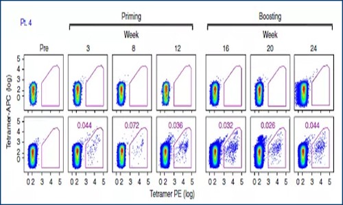 文獻解讀 | 單細胞測序評估腫瘤疫苗療效