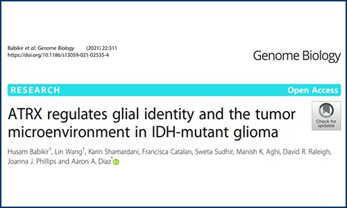 文獻(xiàn)解讀 | 單細(xì)胞多組學(xué)高分案例解析—膠質(zhì)瘤