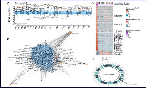 多組學(xué)聯(lián)合 | 分析萬金油 RNA-seq