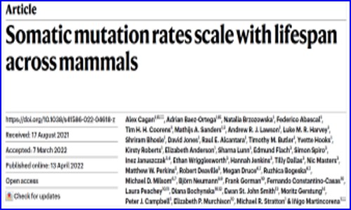 Nature | 為何動物的壽命差異那么大？跨物種單細(xì)胞測序揭示長壽密碼