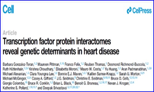 Cell| 結(jié)合蛋白質(zhì)組與外顯子組技術(shù)構(gòu)建轉(zhuǎn)錄因子互作圖譜，揭示先心病的遺傳決定因素