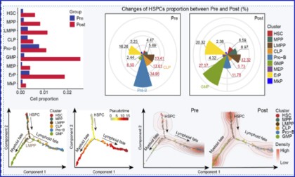 文獻(xiàn)分享 |Cell Discovery，劉兵 / 黃曉軍團(tuán)隊(duì)合作解析 G -CSF 誘導(dǎo)人骨髓造血淋髓偏倚和免疫低反應(yīng)性的潛在機(jī)制