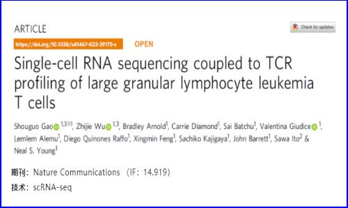 文獻解讀 |T-LGLL 的 scRNA-seq 與 TCR 分析