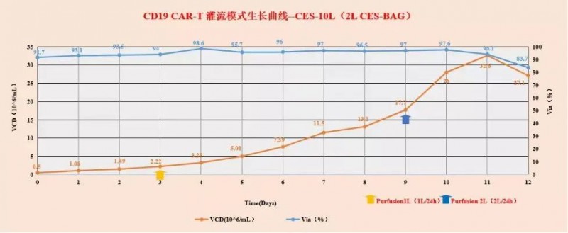 T 細(xì)胞在 MCMCulLymT-SFM10 中規(guī)?；囵B(yǎng)