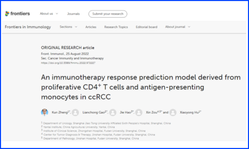 復(fù)旦大學(xué)鄒欣 / 郝潔團(tuán)隊(duì)和上海交通大學(xué)胡曉勇團(tuán)隊(duì)基于單細(xì)胞算法 scCODE 構(gòu)建精準(zhǔn)腎透明細(xì)胞癌免疫治療預(yù)測模型（AUC=93%）