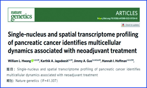 文獻(xiàn)解讀 | 胰腺癌的單細(xì)胞核測序和空間轉(zhuǎn)錄組分析識別與新輔助治療相關(guān)的多細(xì)胞動(dòng)力學(xué)