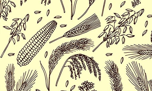 激勵計劃 | 農(nóng)學(xué)單細(xì)胞 & 空間研究——萬元大獎等你來！