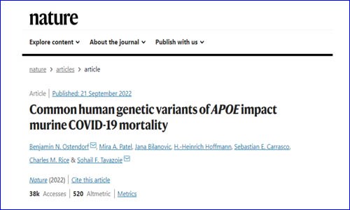 文獻(xiàn)解讀 |Nature 為什么有些人感染新冠后死亡風(fēng)險(xiǎn)高？研究揭示與 APOE 基因型有關(guān)！