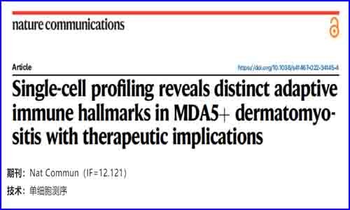 文獻(xiàn)解讀 | 單細(xì)胞分析揭示了 MDA5+ 皮肌炎的獨(dú)特適應(yīng)性免疫特征及其治療意義