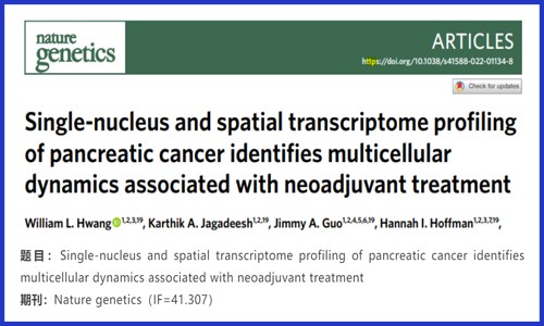 文獻(xiàn)解讀 | 胰腺癌的單核和空間轉(zhuǎn)錄組分析識(shí)別與新輔助治療相關(guān)的多細(xì)胞動(dòng)力學(xué)