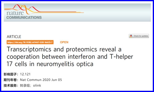 文獻(xiàn)解讀 | 轉(zhuǎn)錄組學(xué)和蛋白質(zhì)組學(xué)揭示視神經(jīng)脊髓炎中干擾素和輔助性 T 細(xì)胞 17 的協(xié)同作用
